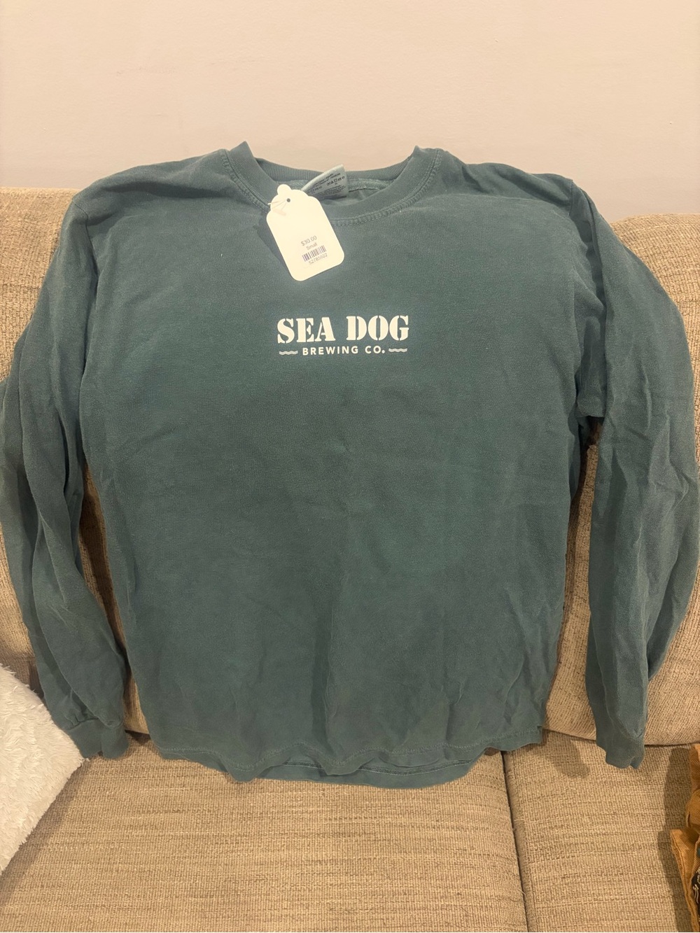 Comfort Colors Teal Green Graphic Long Sleeve Tee